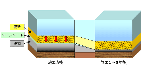 �ꎿ���ǂ̖͎��}