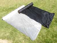 �����𐫃V�[���V�[�g