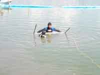 �V�[�g�z�ݍ�Ǝʐ^