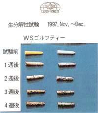 �S���t�e�B�[�򉻎ʐ^